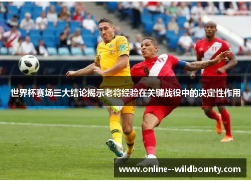 世界杯赛场三大结论揭示老将经验在关键战役中的决定性作用