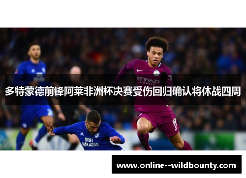 多特蒙德前锋阿莱非洲杯决赛受伤回归确认将休战四周