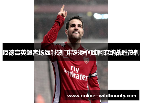 厄德高英超客场远射破门精彩瞬间助阿森纳战胜热刺 厄德高英超客场远射破门精彩瞬间助阿森纳战胜热刺