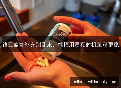 路亚盐丸补充别乱来,搞懂用量和时机鱼获更稳 路亚盐丸补充别乱来,搞懂用量和时机鱼获更稳